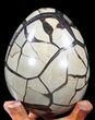 Septarian Dragon Egg Geode - Crystal Filled #40903-3